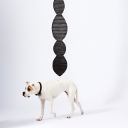 Bean Pod I, 2016