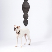 Bean Pod III, 2016