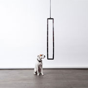Sir Tangle I, 2011