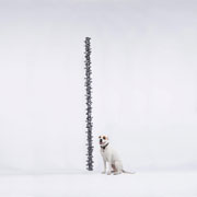 Songbird, 2012